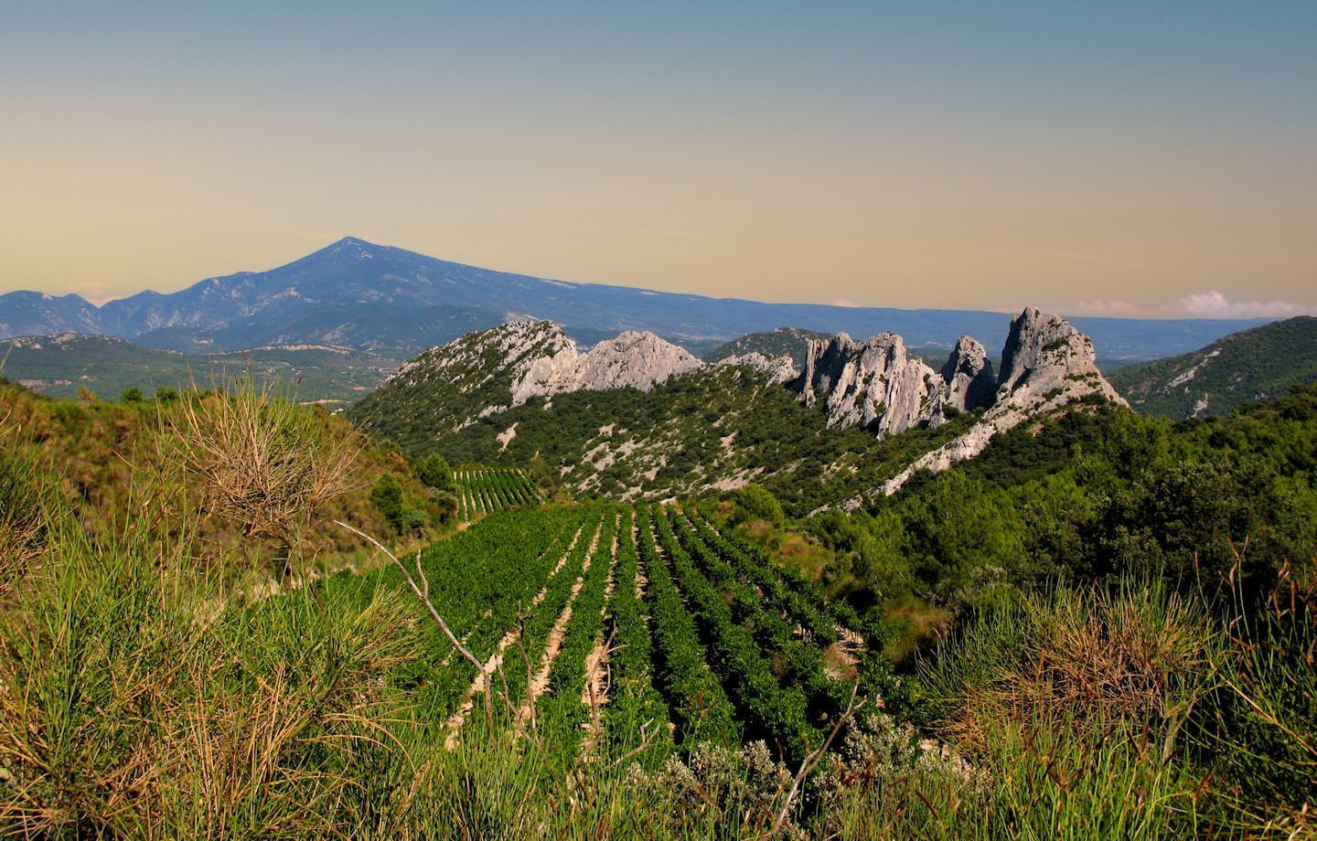 Rhone valley.jpeg